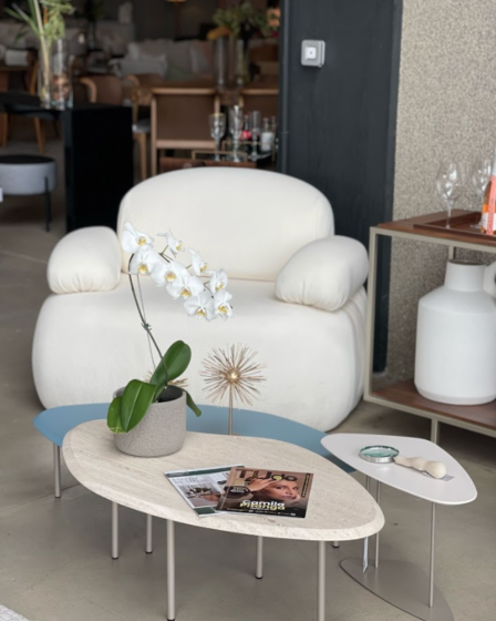 Onde comprar poltrona de luxo com design exclusivo e entrega rápida