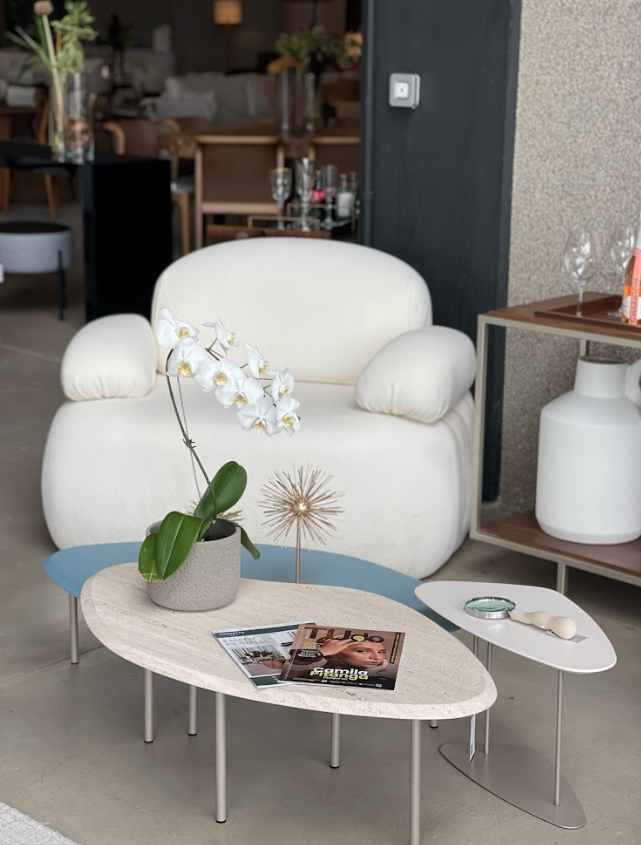 Onde comprar poltrona de luxo com design exclusivo e entrega rápida